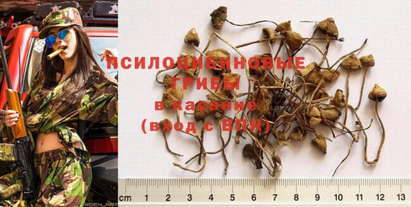 mdpv Мегион
