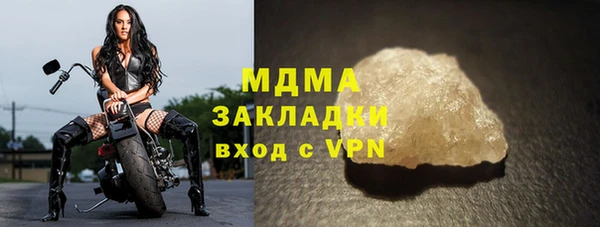 прущие грибы Михайловка