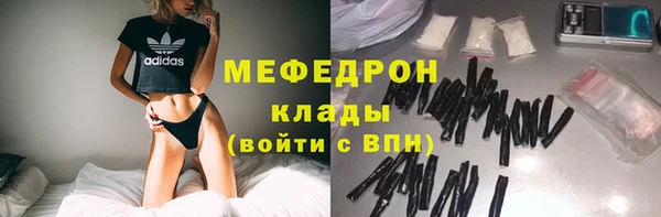 прущие грибы Михайловка