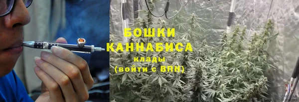 прущие грибы Михайловка