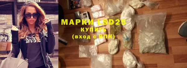 прущие грибы Михайловка