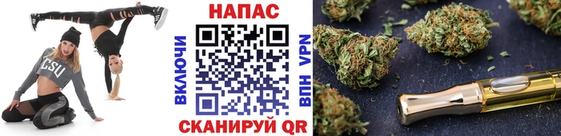 Шишки марихуана план  что такое   Озёры 